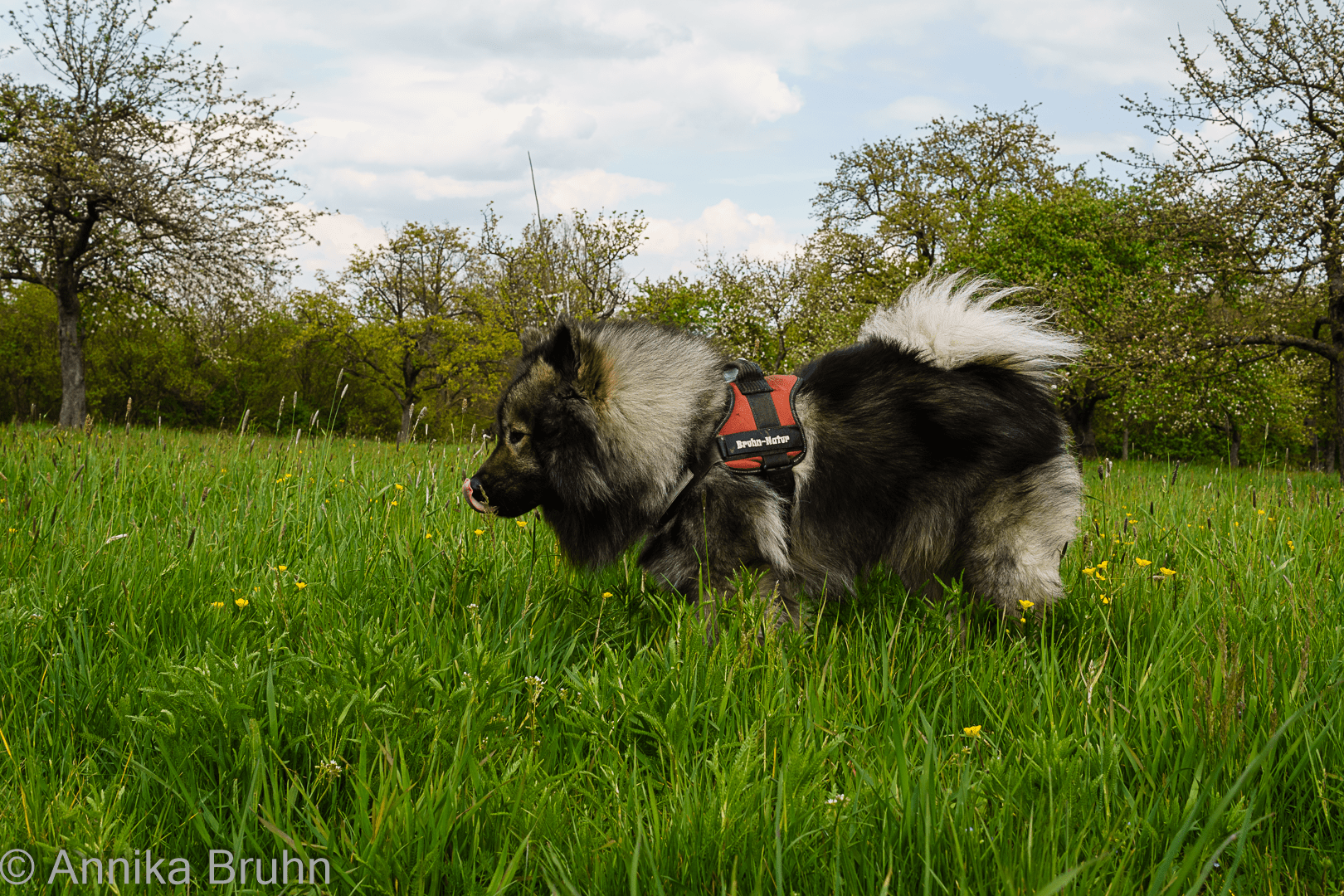 Mh was richt den da so lecker